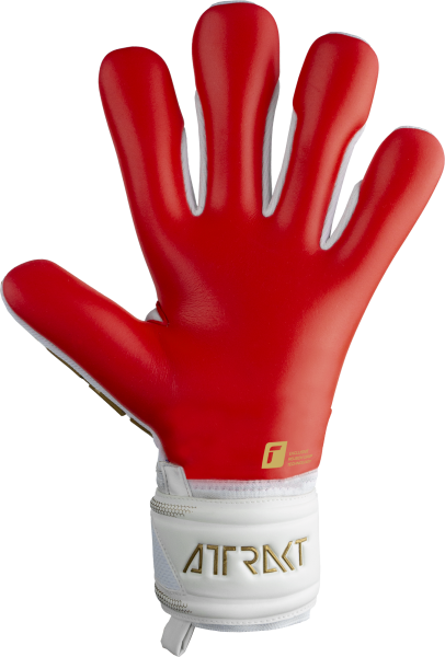 Reusch Attrakt Freegel Silver 5370235 1011 white r