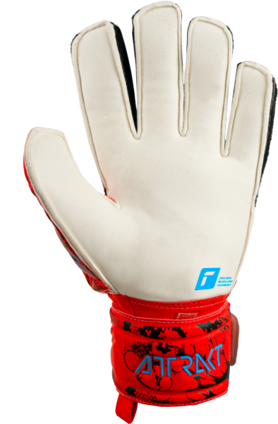 Reusch Attrakt Grip 5370815 3334 3334 back.png