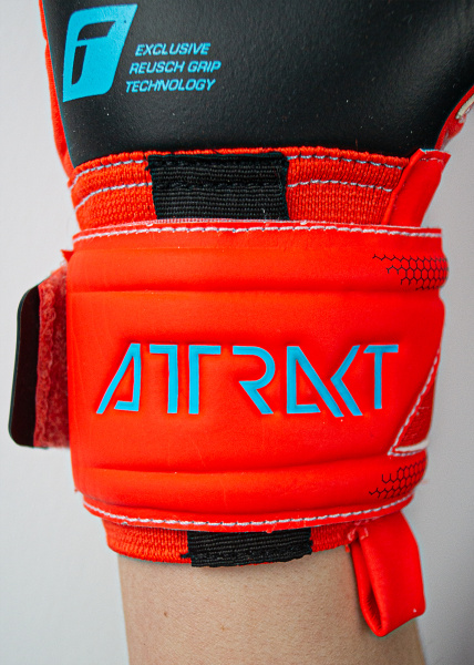 Reusch Attrakt Gold X 5370945 3333 3333 2.jpg