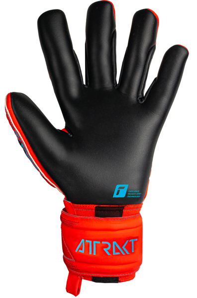 Reusch Attrakt Gold X 5370945 3333 3333 back.png