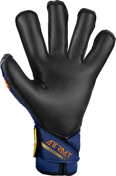 Reusch Attrakt Duo Evolution 5470055 4411 4411 bac