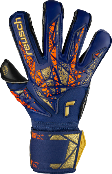 Reusch Attrakt Gold X Evolution 5470964 4411 4411 