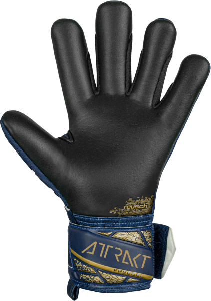 Reusch Attrakt Freegel Silver Junior 5472235 4411 