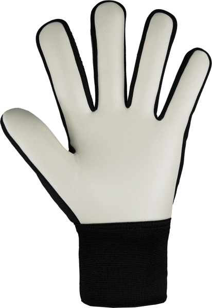 Reusch Attrakt Starter Solid Junior 5472514 7700 b