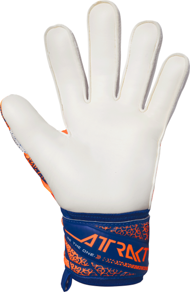 Reusch Attrakt Silver 5570214 2500 2500 back.png