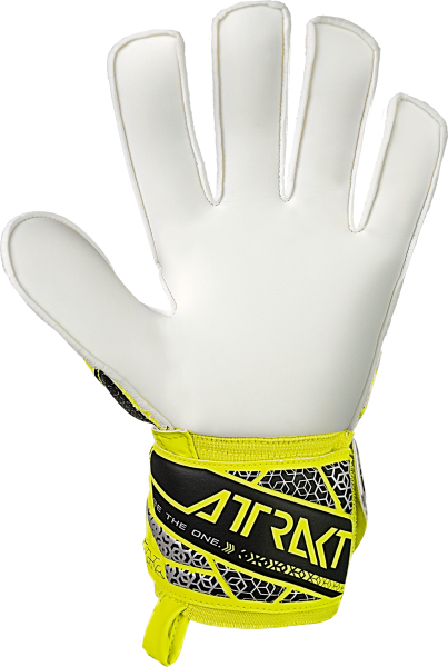 Reusch Attrakt Solid 5570515 2014 2014 back.png