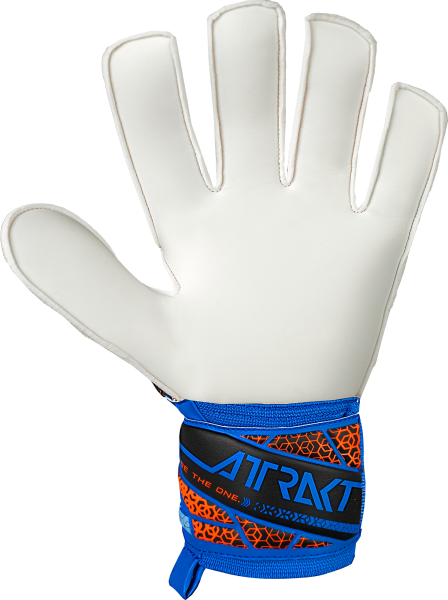 Reusch Attrakt Solid 5570515 4467 blue orange back