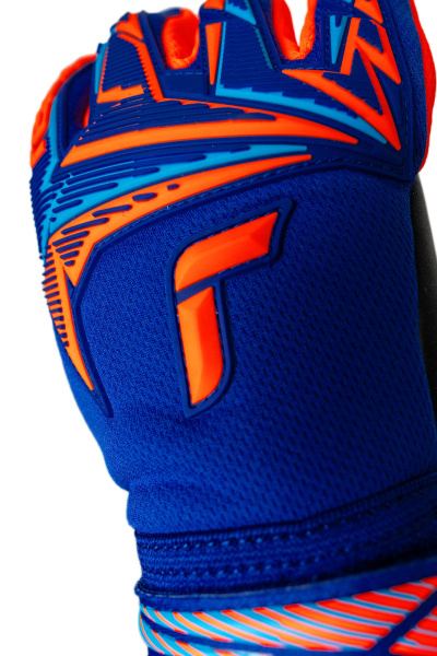 Reusch Attrakt Freegel Duo NC 5670025 4127 blue 3.