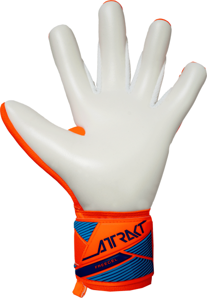 Reusch Attrakt Freegel Advance 5670035 2290 blue o