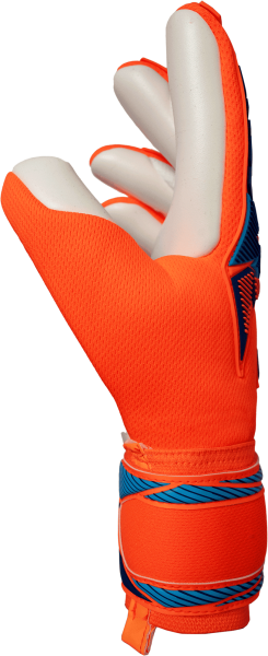 Reusch Attrakt Freegel Advance 5670035 2290 blue o