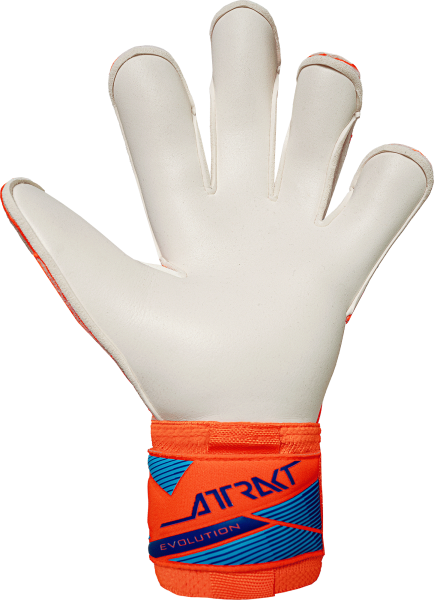 Reusch Attrakt Gold X Evolution 5670064 2290 blue 