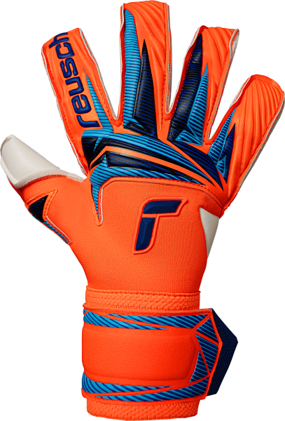 Reusch Attrakt Gold X Evolution 5670064 2290 blue 