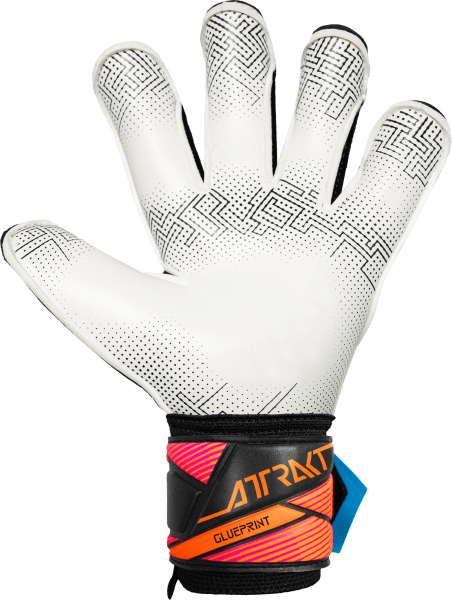Reusch Attrakt Advance Evolution Glueprint 5670163