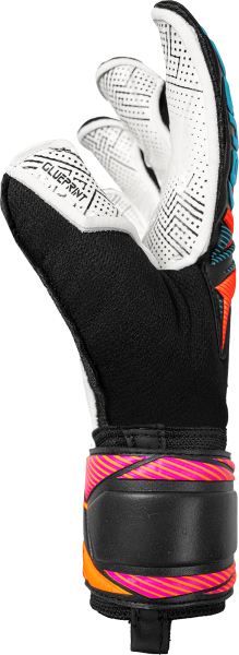 Reusch Attrakt Advance Evolution Glueprint 5670163