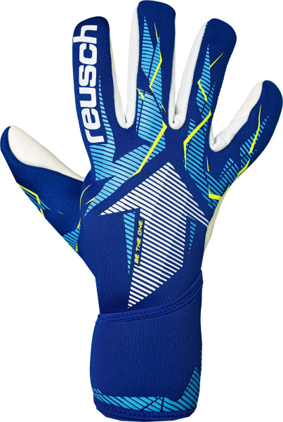 Reusch Fastgrip Advance 5670200 4994 blue front.jp