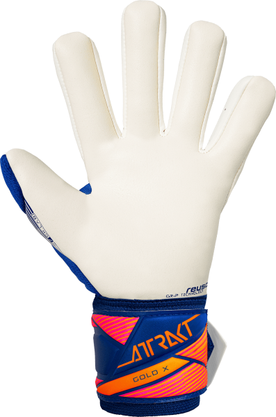 Reusch Attrakt Gold X NC 5670955 4126 blue back.pn