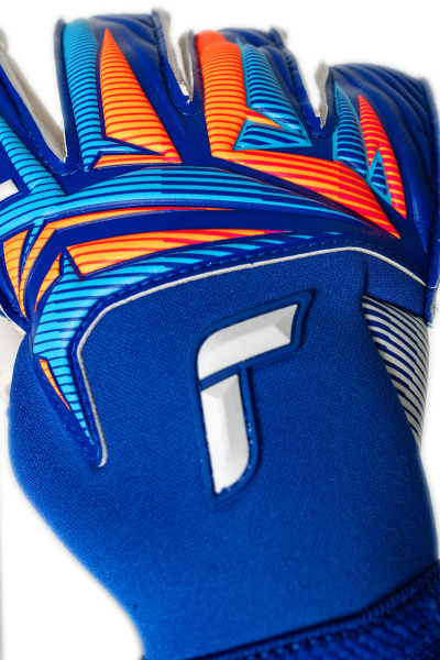 Reusch Attrakt Gold X Evolution 5670964 4126 blue 
