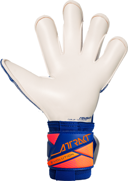 Reusch Attrakt Gold X Evolution 5670964 4126 blue 