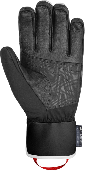 Reusch Mastery 6001120 7745 black back.png