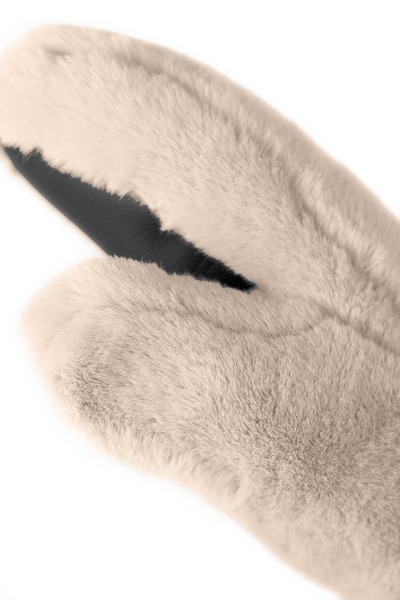 6531557_1079_4.jpg