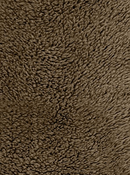 6689085_1092_6.jpg