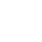 Recreational Icon