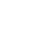 Intermediate Icon