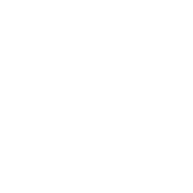 Advanced Icon